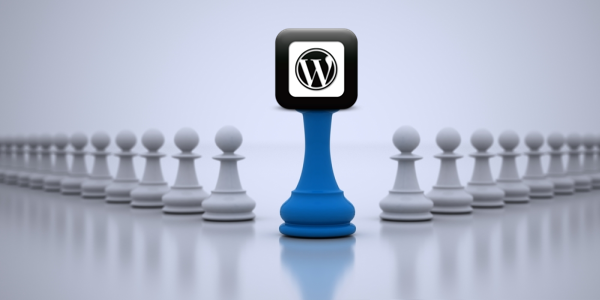 Reasons Behind the Dominance of WordPress Over Other CMSs?