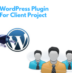 WordPress Plugin for Client project
