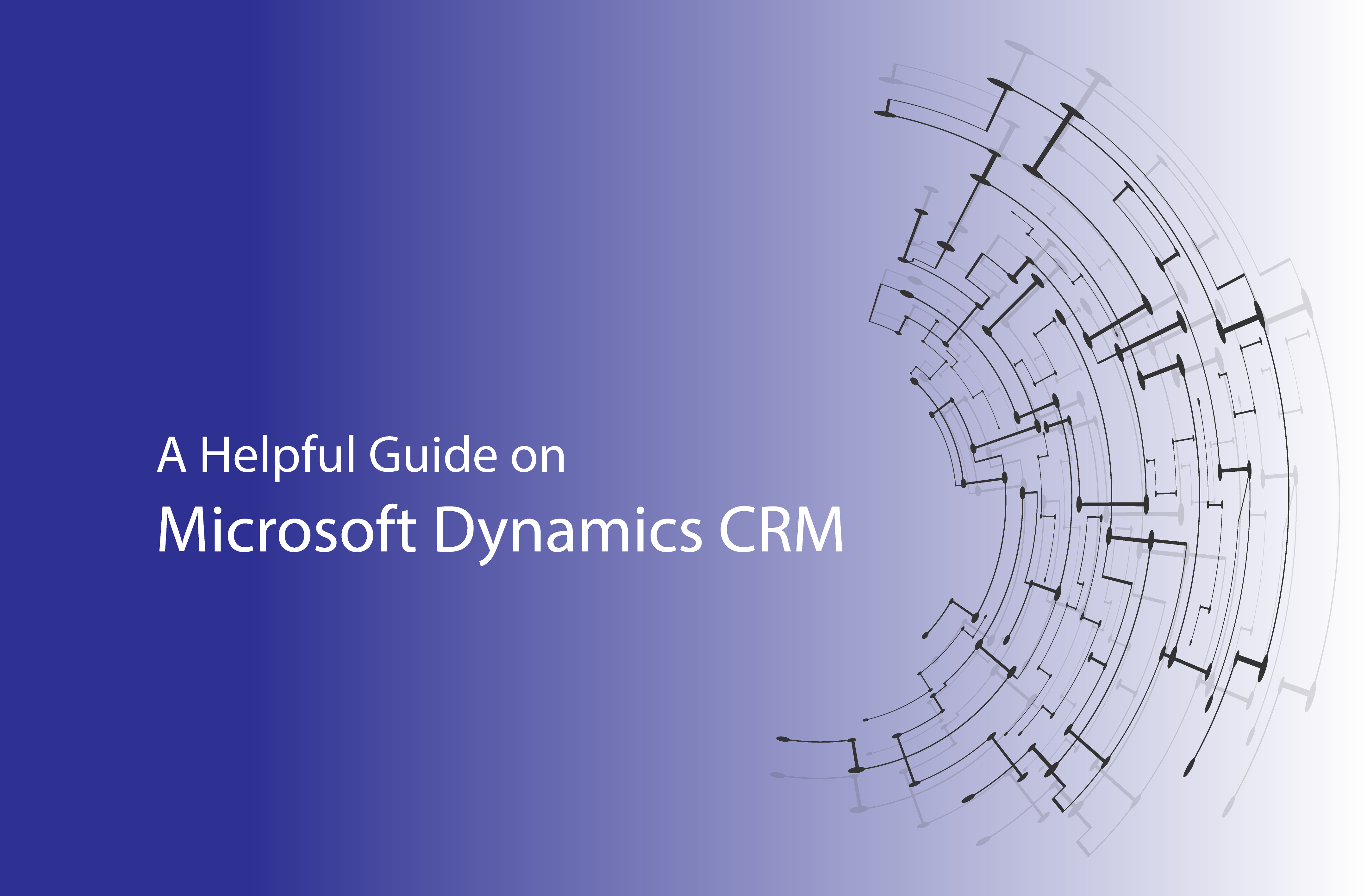 A helpful Guide on Dynamics CRM