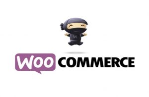 woocommerce-app-image