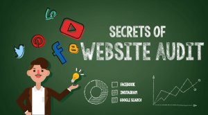 Secrets of Website Audit